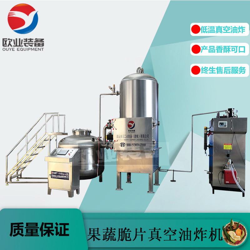 山東全自動(dòng)低溫油炸機(jī),果蔬脆片油炸機(jī)